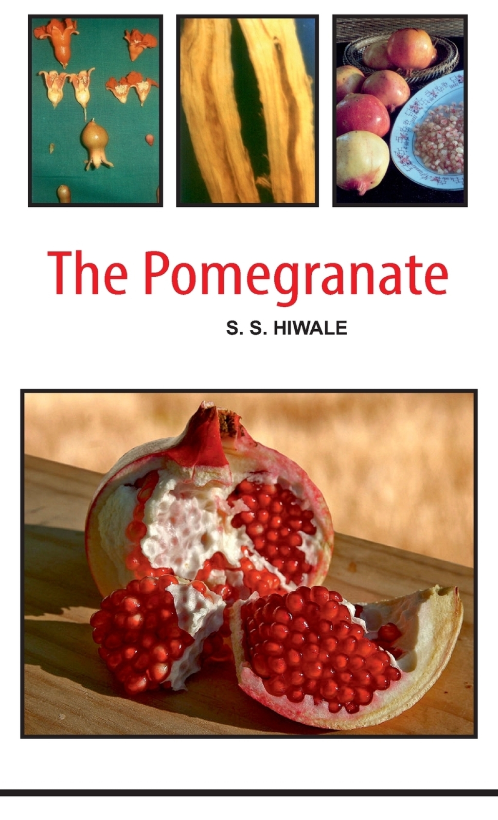 Pomegranate  â€“ PDF/EPUB Version Downloadable