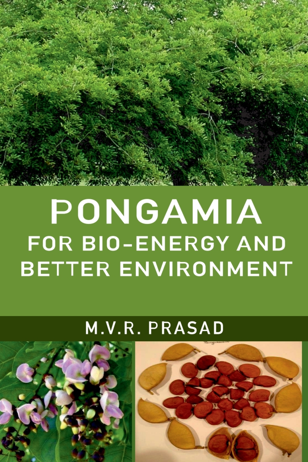 Pongamia for Bio-Energy and Better Environment 1st Edition â€“ PDF/EPUB Version Downloadable
