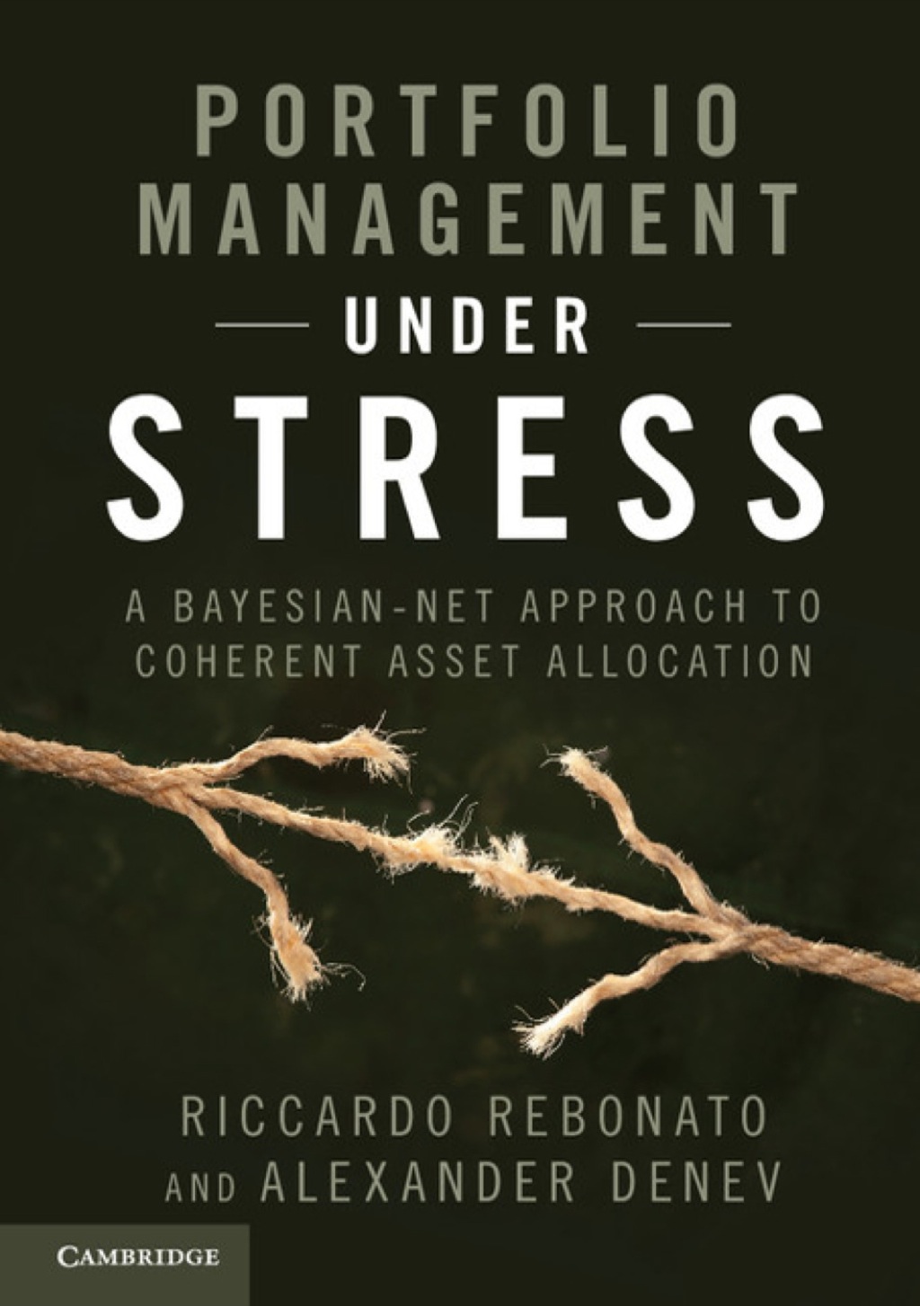 Portfolio Management under Stress A Bayesian-Net Approach to Coherent Asset Allocation 1st Edition â€“ PDF/EPUB Version Downloadable