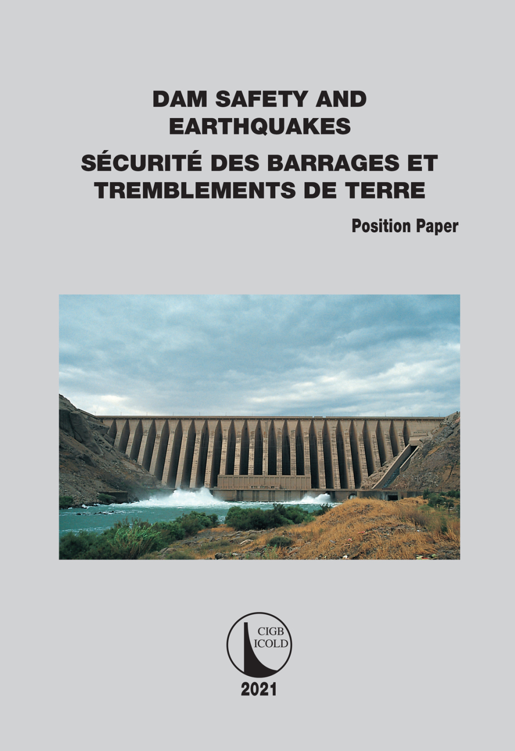 Position Paper Dam Safety and Earthquakes 1st Edition â€“ PDF/EPUB Version Downloadable