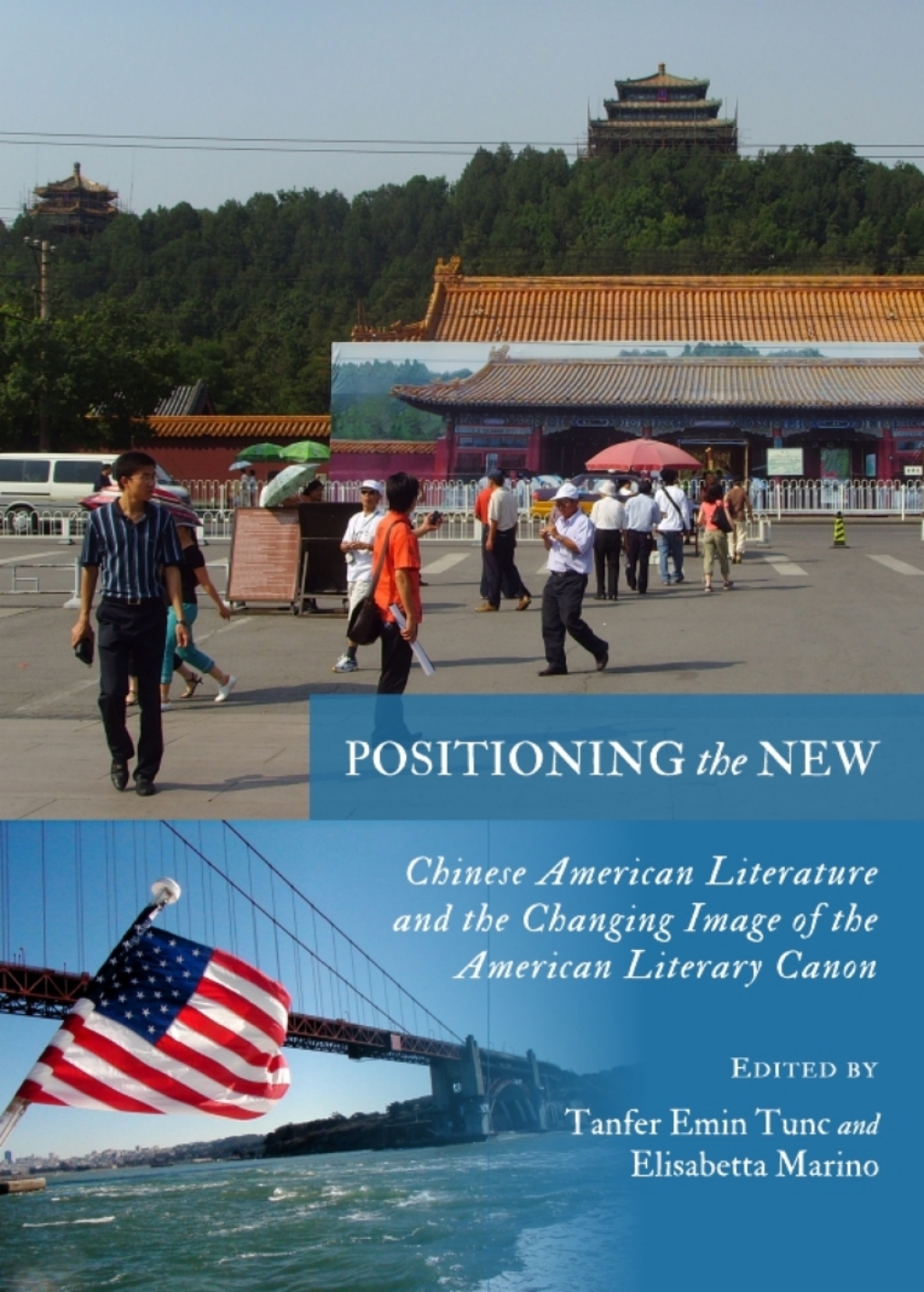Positioning the New Chinese American Literature and the Changing Image of the American Literary Canon 1st Edition â€“ PDF/EPUB Version Downloadable