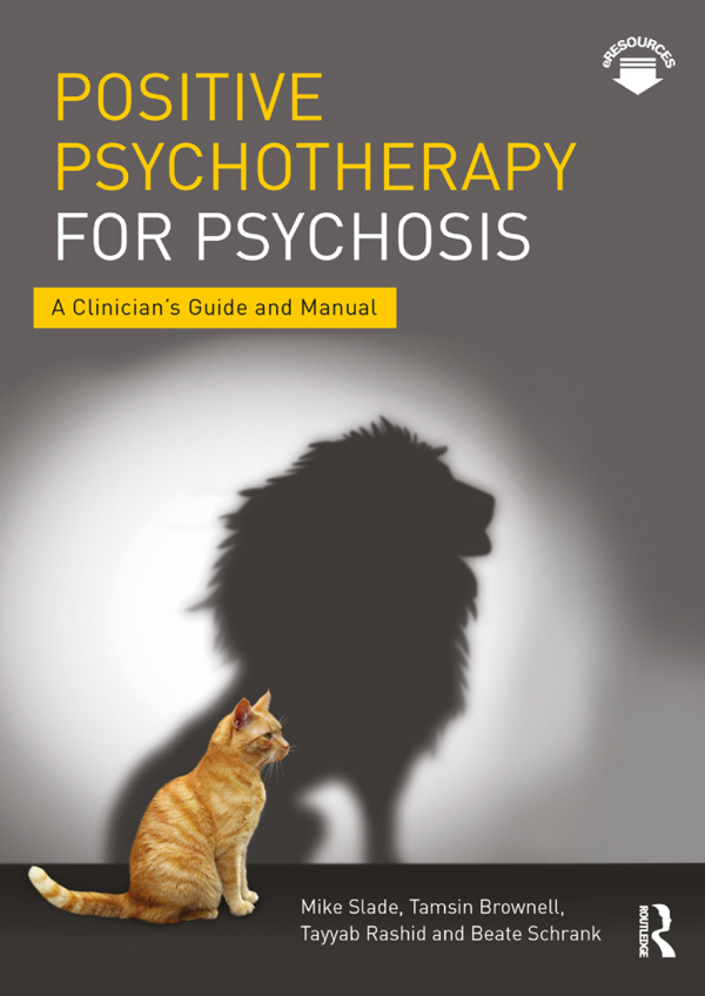 Positive Psychotherapy for Psychosis A Clinician's Guide and Manual 1st Edition â€“ PDF/EPUB Version Downloadable