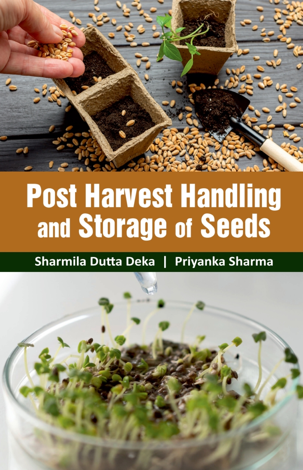 Post Harvest Handling and Storage of Seeds 1st Edition â€“ PDF/EPUB Version Downloadable