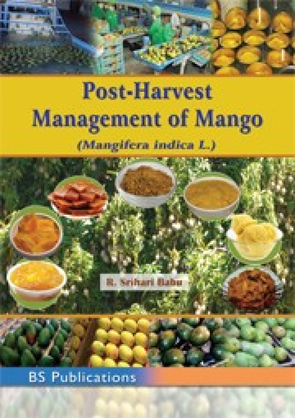 Post-Harvest Management of Mango (Mangifera indica L.) 1st Edition â€“ PDF/EPUB Version Downloadable