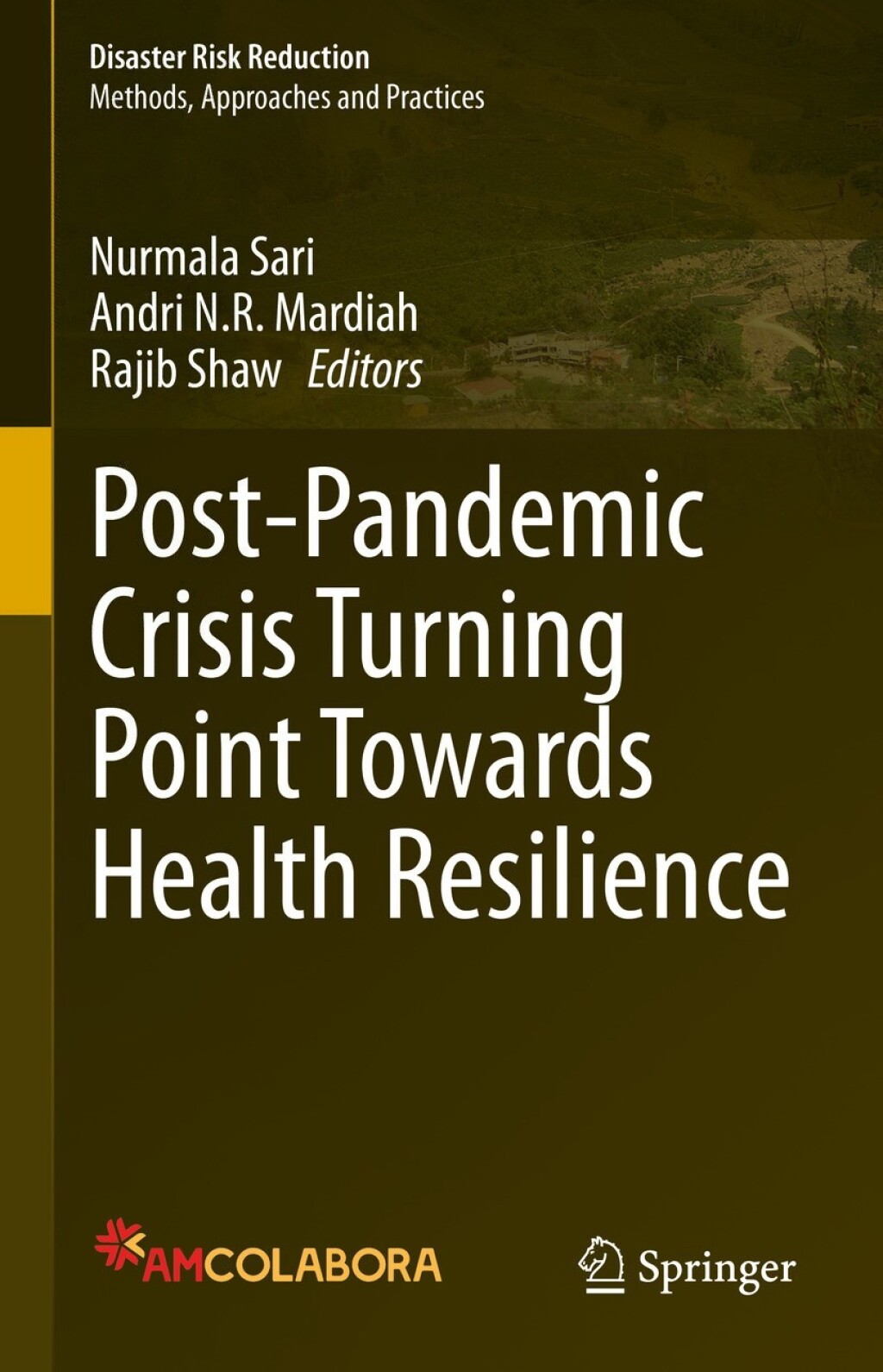 Post-Pandemic Crisis Turning Point Towards Health Resilience  â€“ PDF/EPUB Version Downloadable