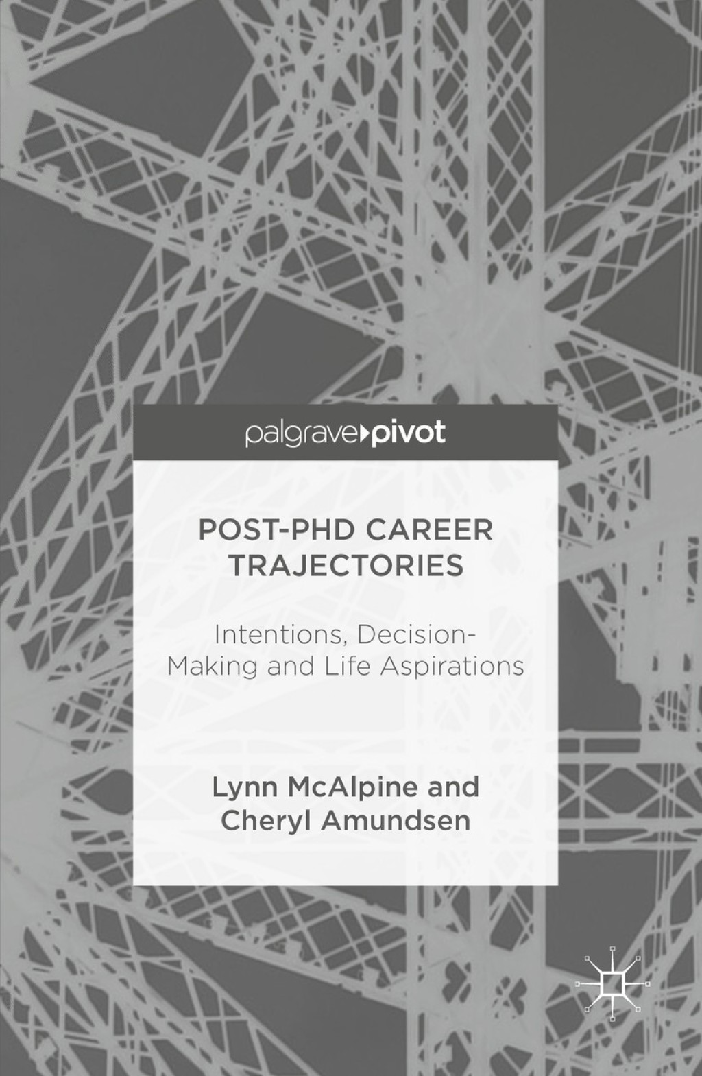 Post-PhD Career Trajectories Intentions, Decision-Making and Life Aspirations  â€“ PDF/EPUB Version Downloadable