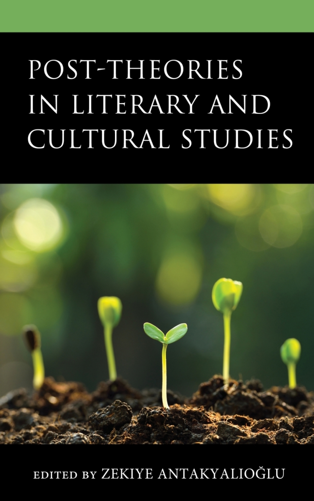 Post-Theories in Literary and Cultural Studies 1st Edition – PDF/EPUB Version Downloadable Post-Theories in Literary and Cultural Studies 1st Edition – PDF/EPUB Version Downloadable - Image 1
