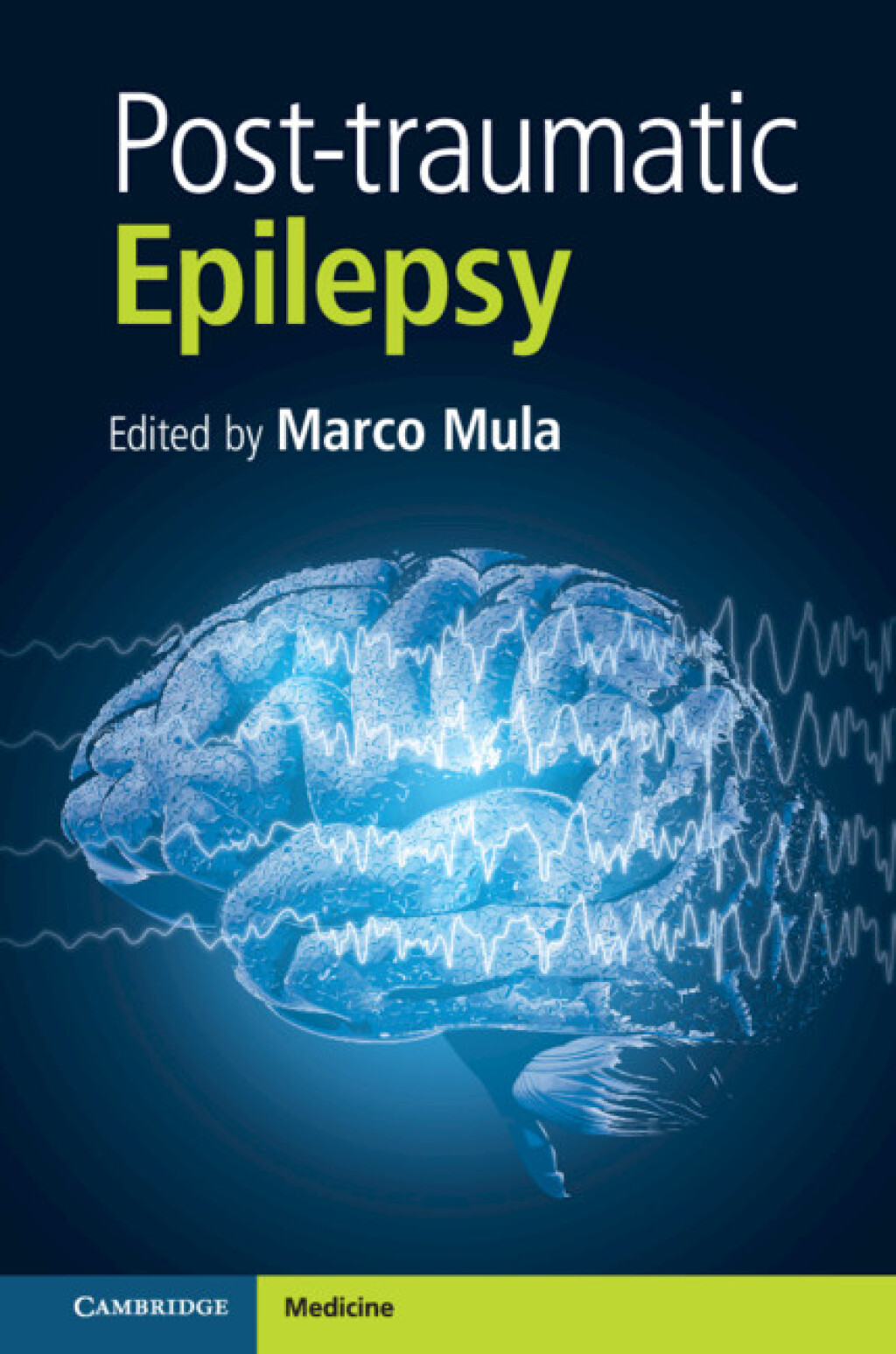 Post-traumatic Epilepsy, Part 1  â€“ PDF/EPUB Version Downloadable