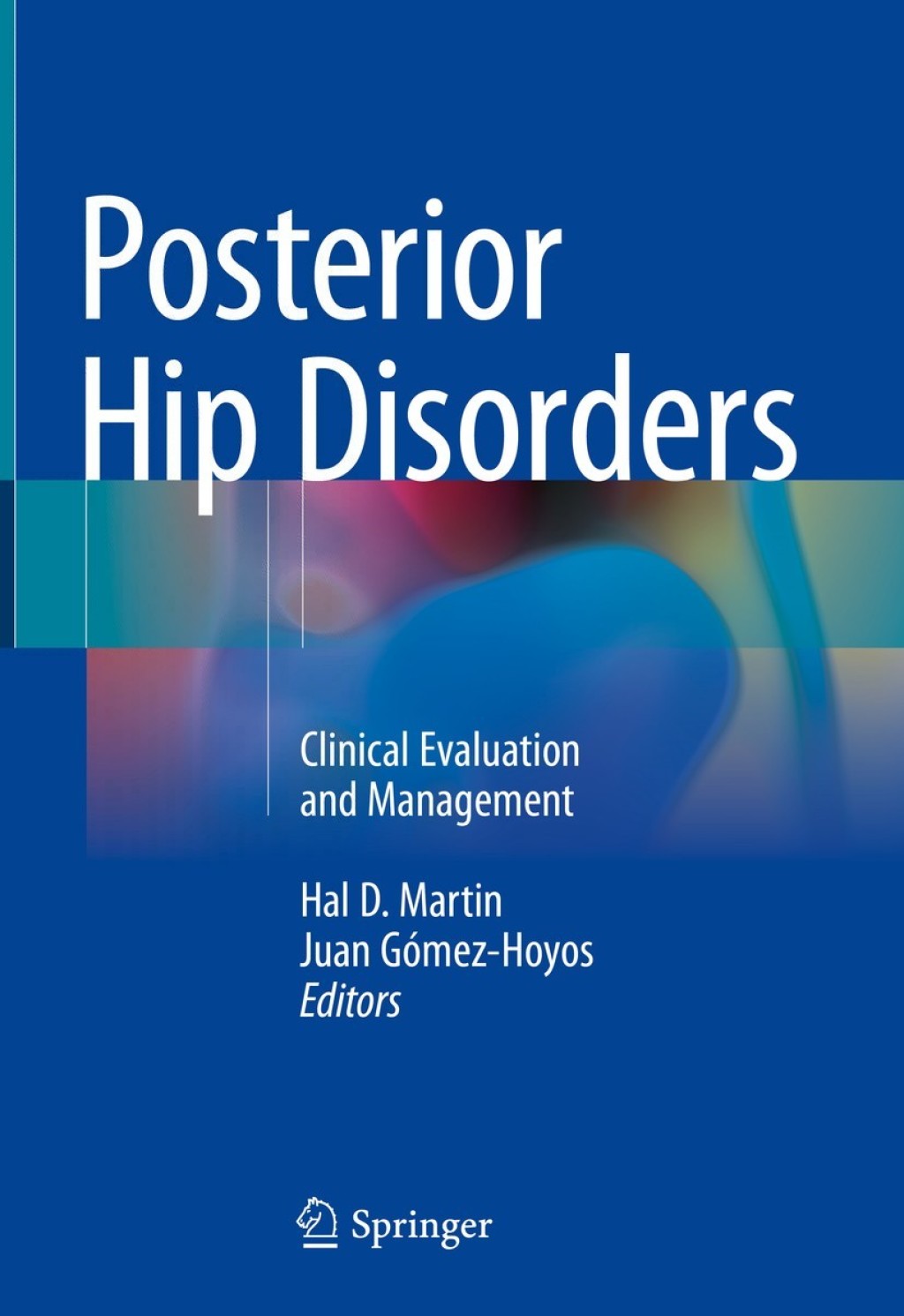 Posterior Hip Disorders Clinical Evaluation and Management  â€“ PDF/EPUB Version Downloadable