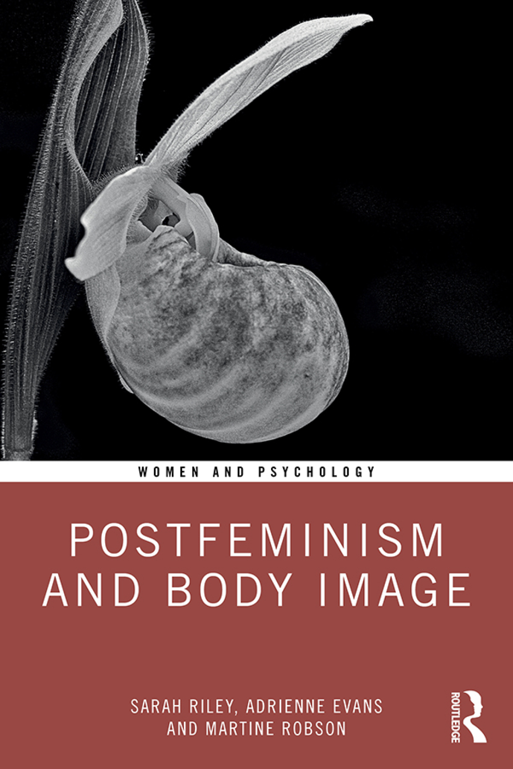 Postfeminism and Body Image 1st Edition â€“ PDF/EPUB Version Downloadable