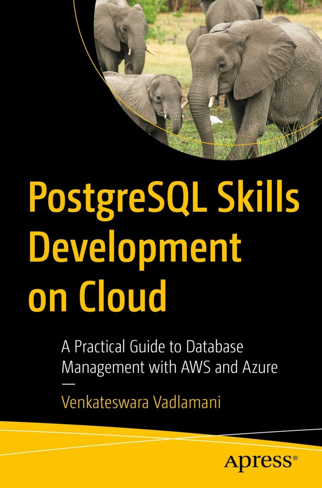 PostgreSQL Skills Development on Cloud A Practical Guide to Database Management with AWS and Azure  â€“ PDF/EPUB Version Downloadable