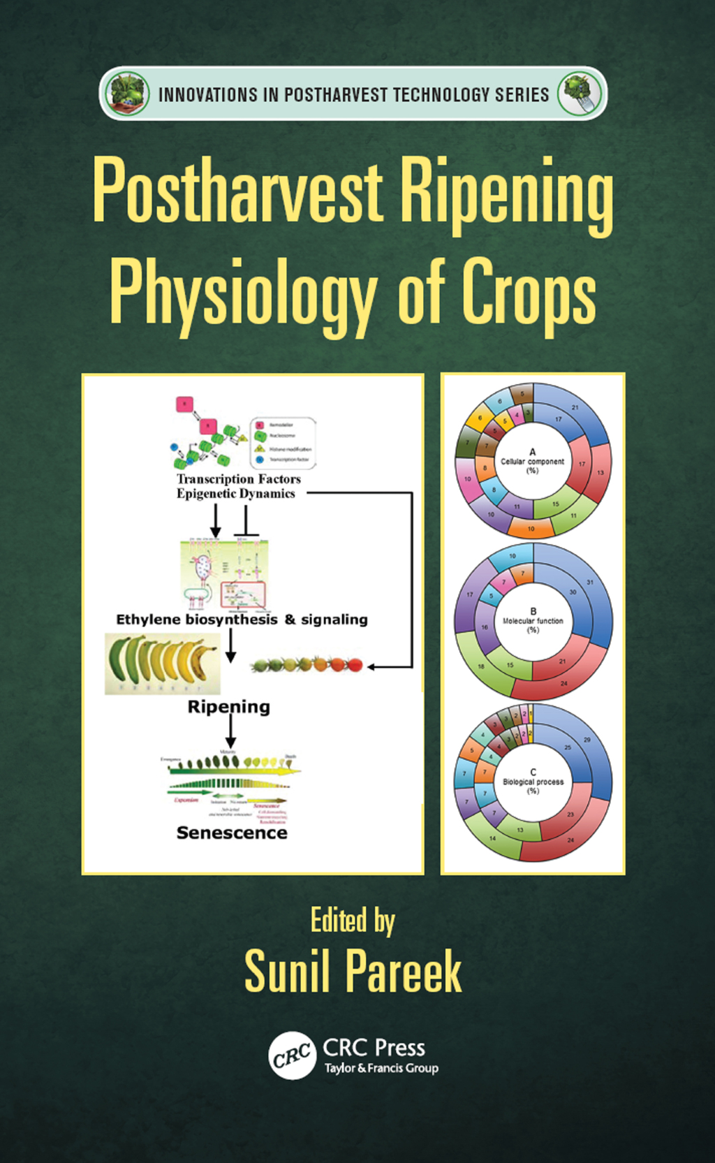 Postharvest Ripening Physiology of Crops 1st Edition â€“ PDF/EPUB Version Downloadable