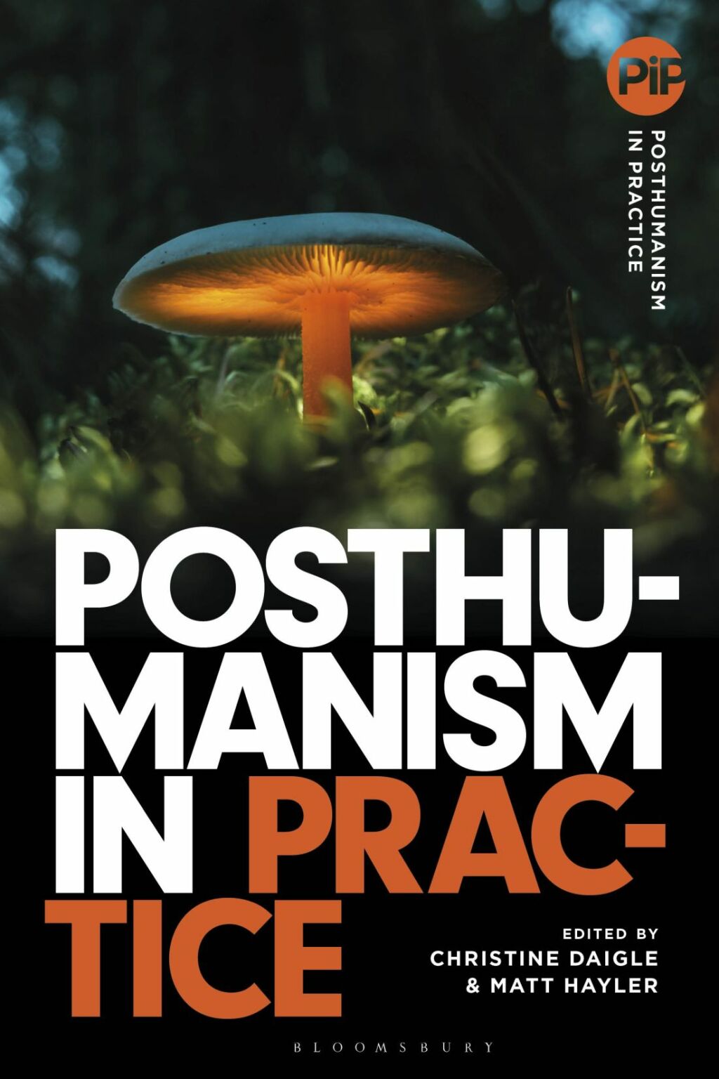 Posthumanism in Practice 1st Edition â€“ PDF/EPUB Version Downloadable