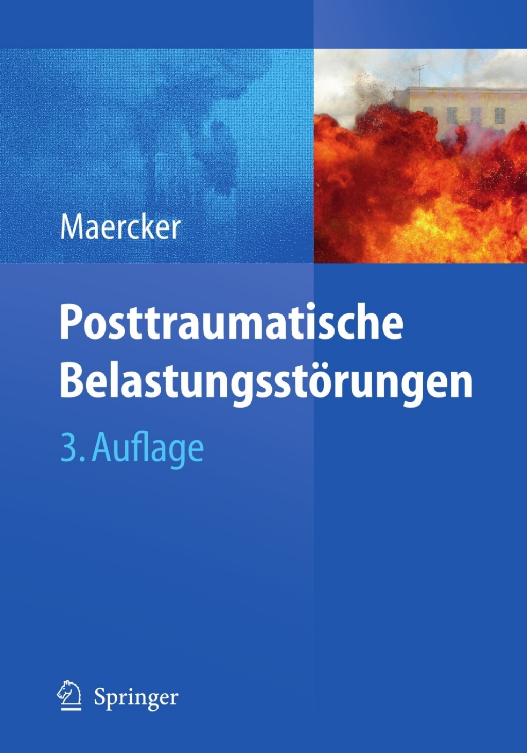 Posttraumatische BelastungsstÃ¶rungen 3rd Edition â€“ PDF/EPUB Version Downloadable