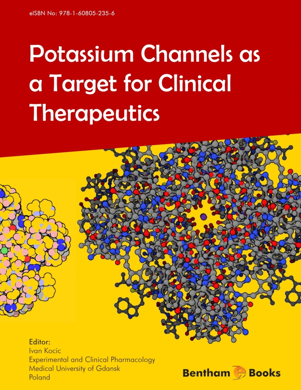 Potassium Channels as a Target for Clinical Therapeutics 1st Edition â€“ PDF/EPUB Version Downloadable