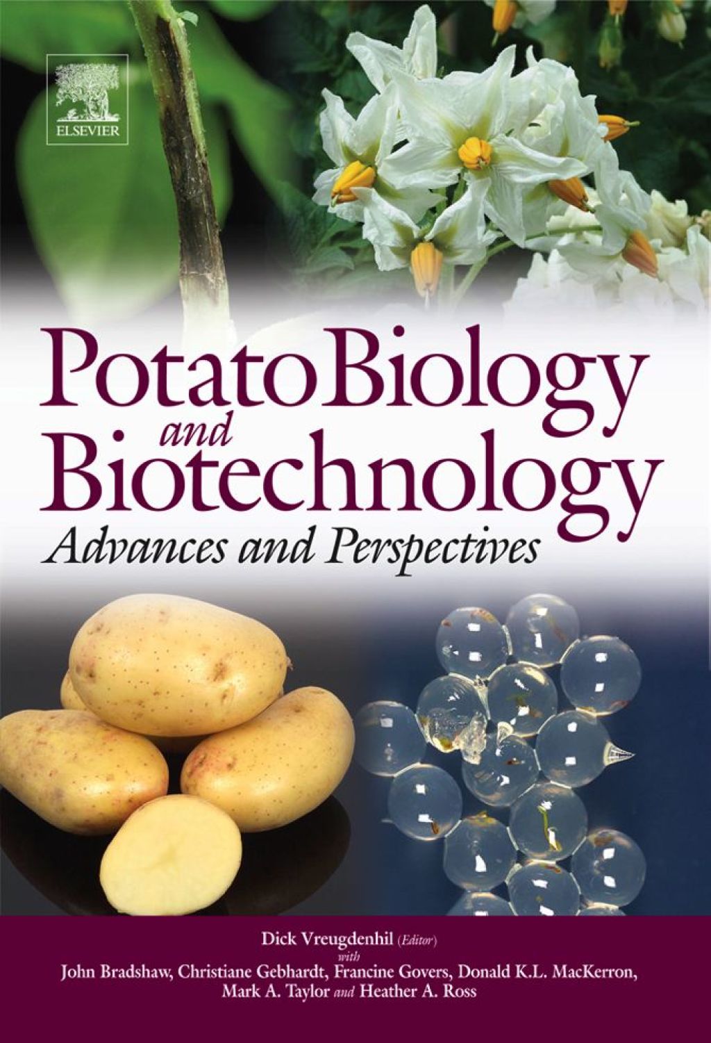 Potato Biology and Biotechnology: Advances and Perspectives: Advances and Perspectives  â€“ PDF/EPUB Version Downloadable