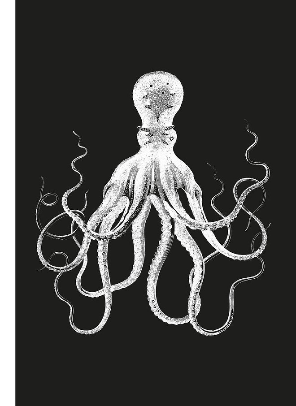 Poulpe Nouvelle Ã©dition  â€“ PDF/EPUB Version Downloadable