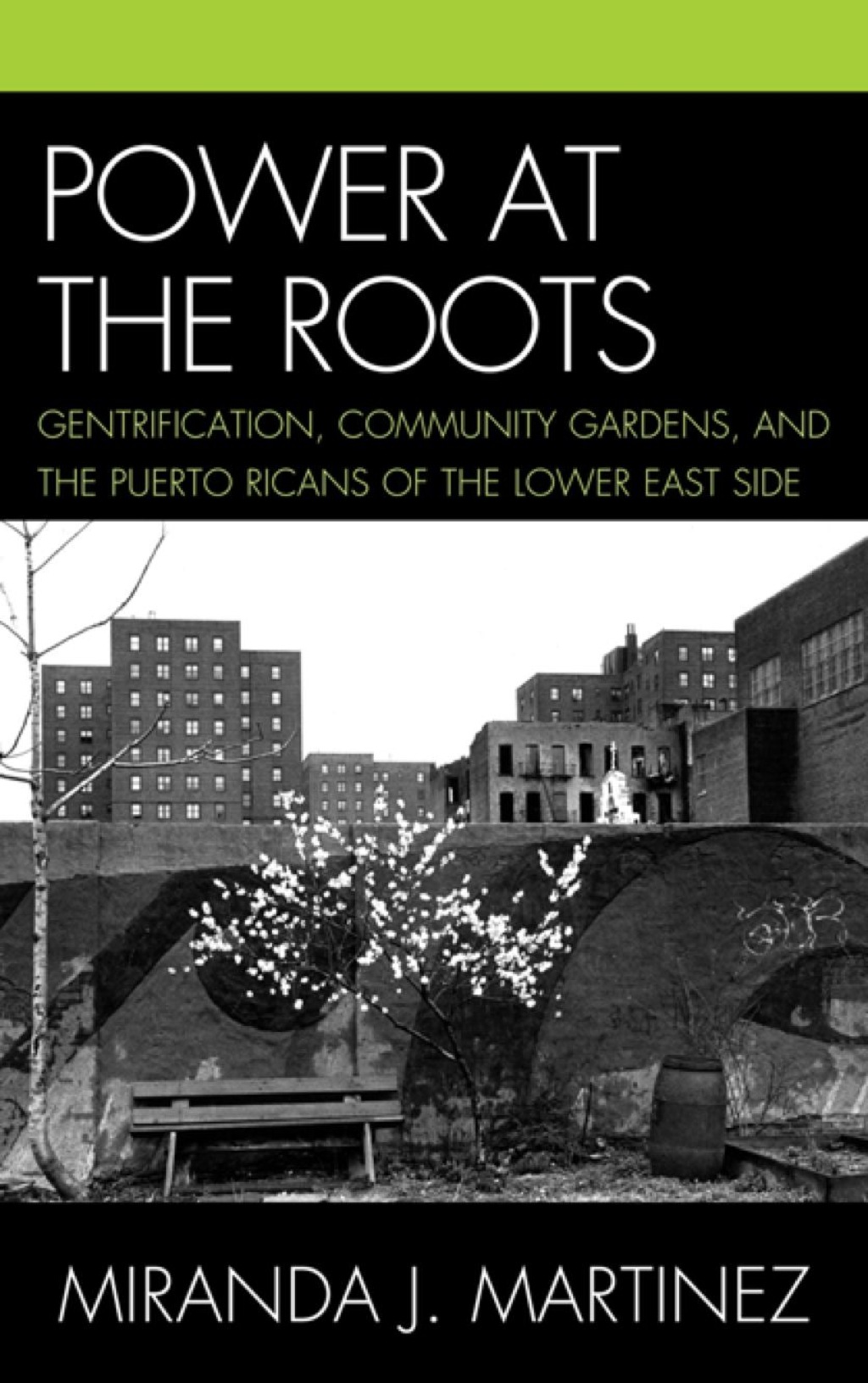 Power at the Roots Gentrification, Community Gardens, and the Puerto Ricans of the Lower East Side 1st Edition â€“ PDF/EPUB Version Downloadable