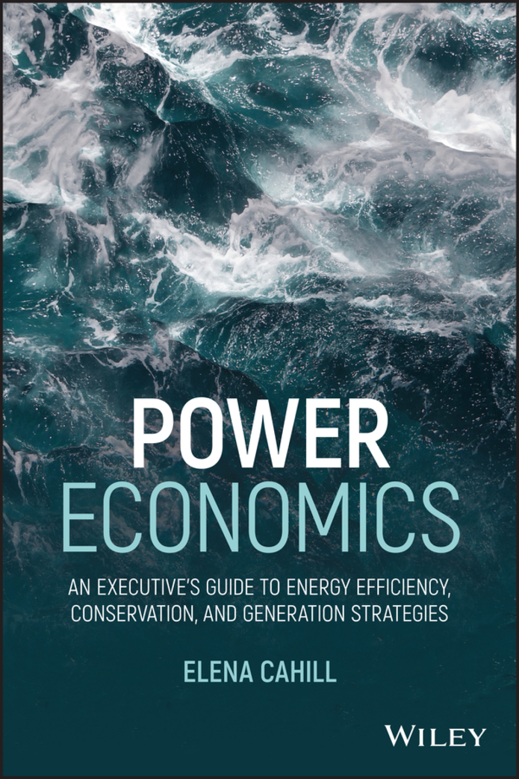 Power Economics: An Executive's Guide to Energy Efficiency, Conservation, and Generation Strategies An Executive's Guide to Energy Efficiency, Conservation, and Generation Strategies 1st Edition - (PDF/EPUB Version)
