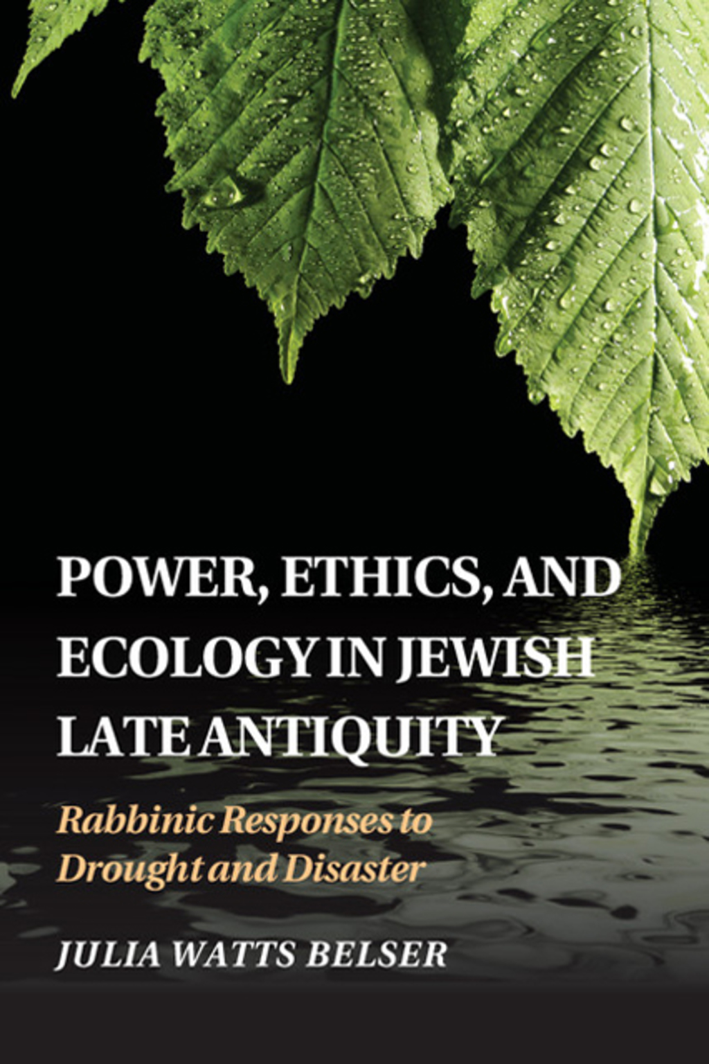 Power, Ethics, and Ecology in Jewish Late Antiquity Rabbinic Responses to Drought and Disaster 1st Edition â€“ PDF/EPUB Version Downloadable
