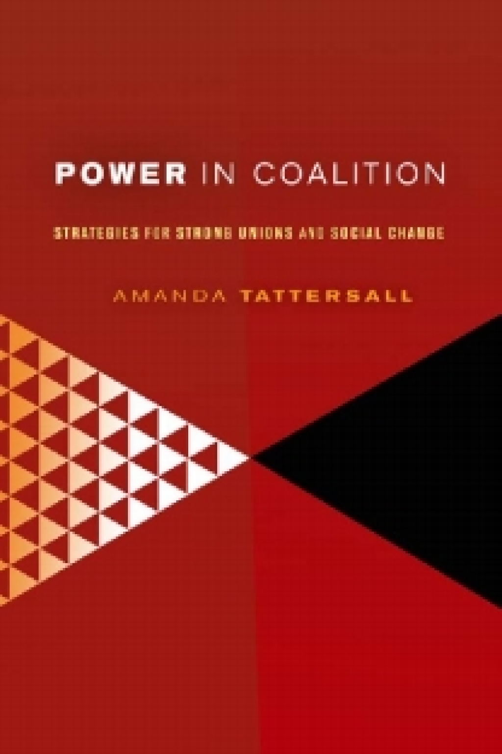 Power in Coalition Strategies for Strong Unions and Social Change  â€“ PDF/EPUB Version Downloadable