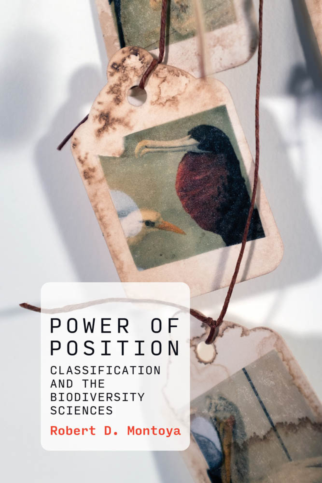 Power of Position Classification and the Biodiversity Sciences - (PDF/EPUB Version)