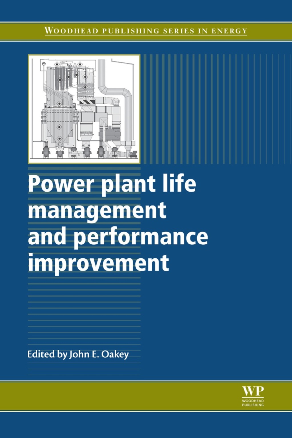 Power Plant Life Management and Performance Improvement  â€“ PDF/EPUB Version Downloadable