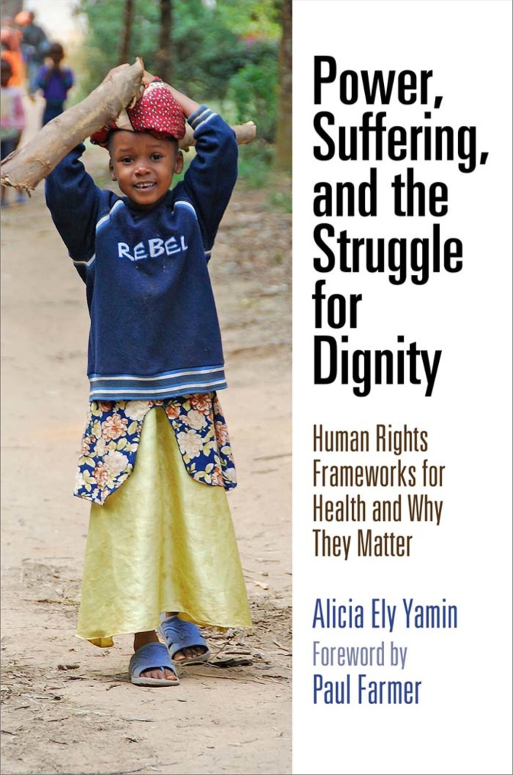 Power, Suffering, and the Struggle for Dignity Human Rights Frameworks for Health and Why They Matter  â€“ PDF/EPUB Version Downloadable