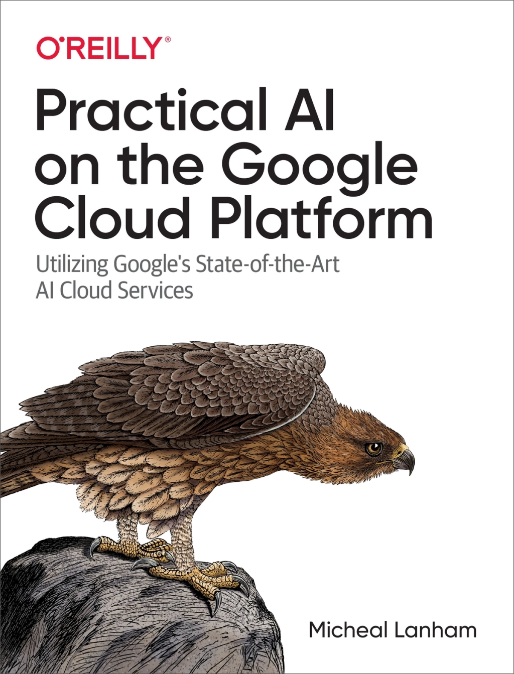 Practical AI on the Google Cloud Platform 1st Edition â€“ PDF/EPUB Version Downloadable