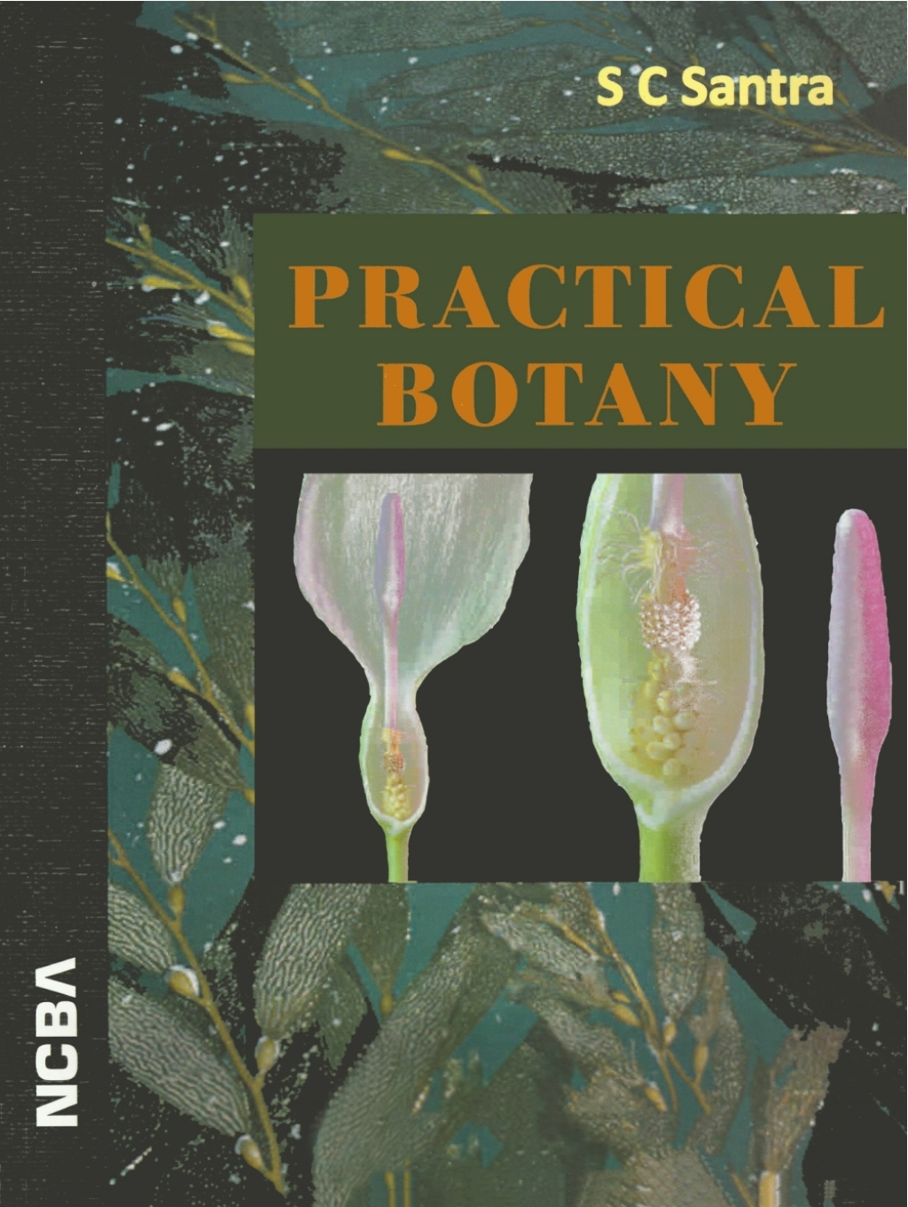 Practical Botany  â€“ PDF/EPUB Version Downloadable