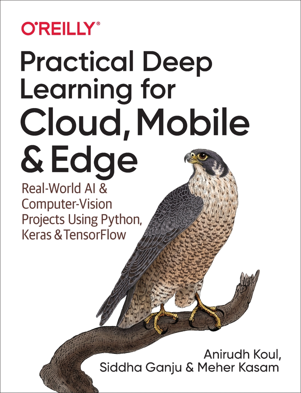 Practical Deep Learning for Cloud, Mobile, and Edge Real-World AI & Computer-Vision Projects Using Python, Keras & TensorFlow 1st Edition â€“ PDF/EPUB Version Downloadable