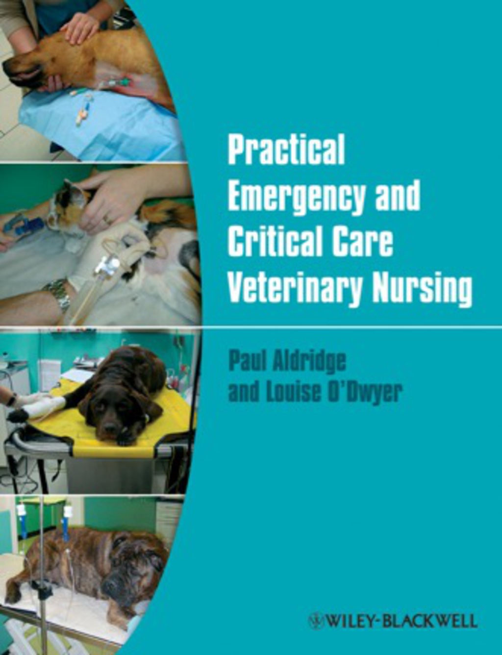 Practical Emergency and Critical Care Veterinary Nursing 1st Edition â€“ PDF/EPUB Version Downloadable