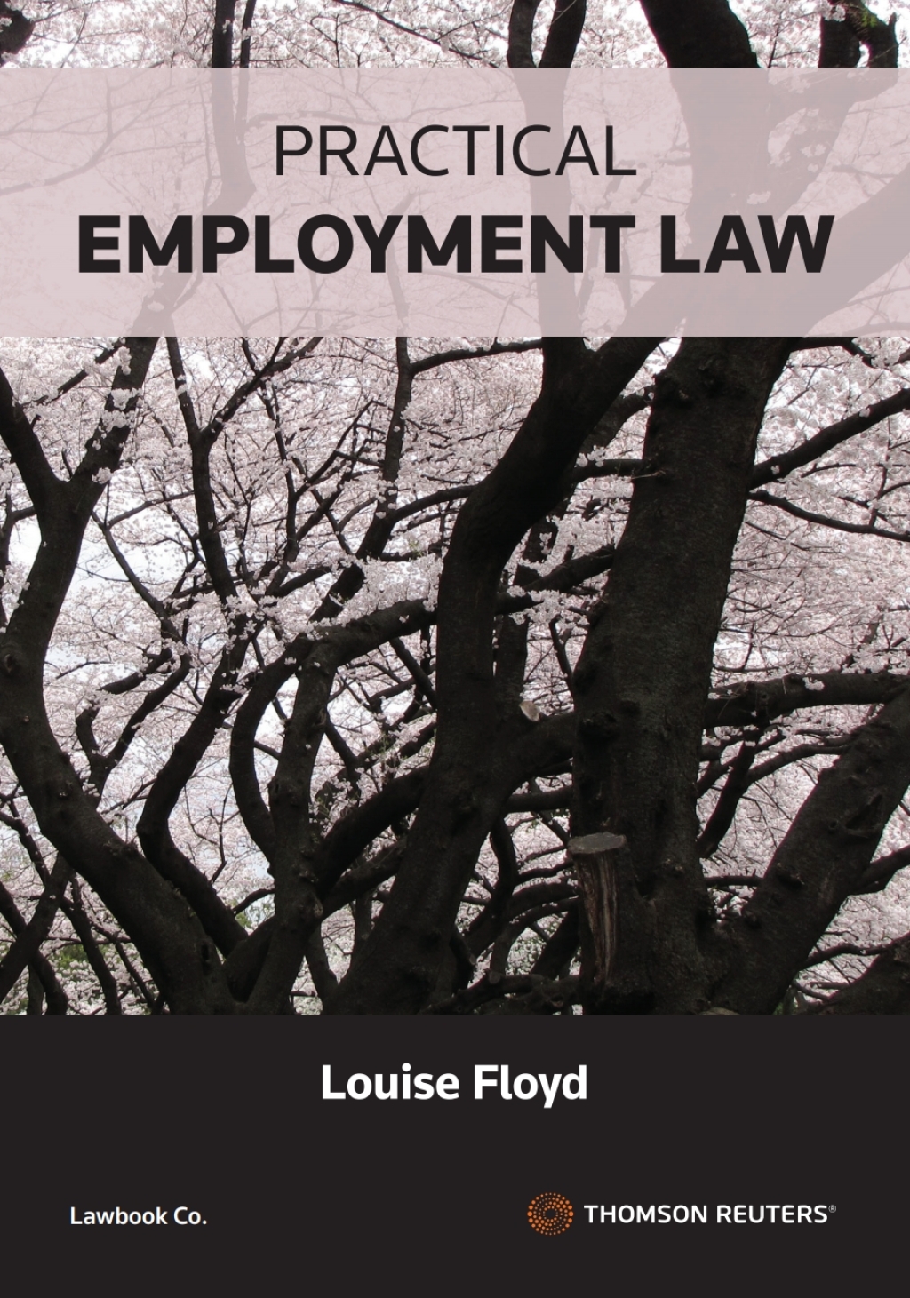 Practical Employment Law 1st Edition â€“ PDF/EPUB Version Downloadable