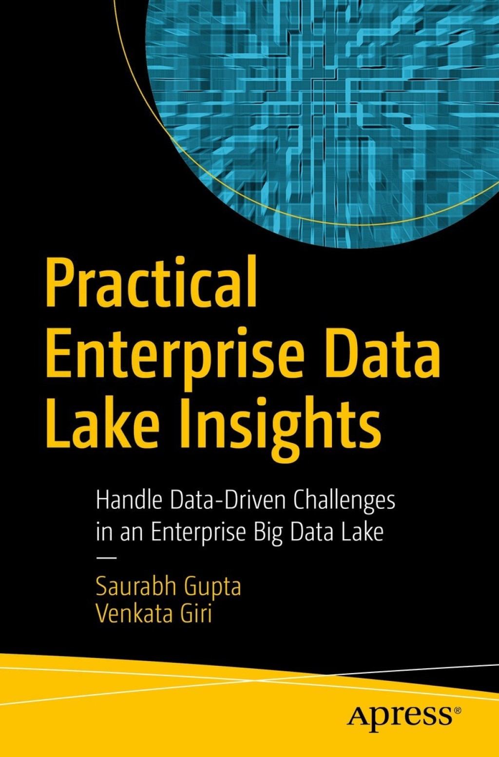 Practical Enterprise Data Lake Insights Handle Data-Driven Challenges in an Enterprise Big Data Lake  â€“ PDF/EPUB Version Downloadable