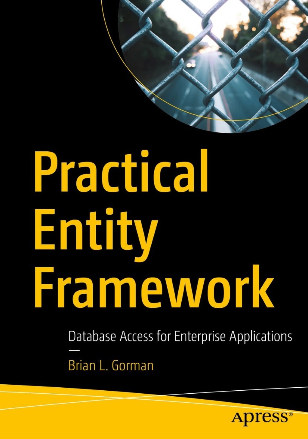Practical Entity Framework Database Access for Enterprise Applications  â€“ PDF/EPUB Version Downloadable