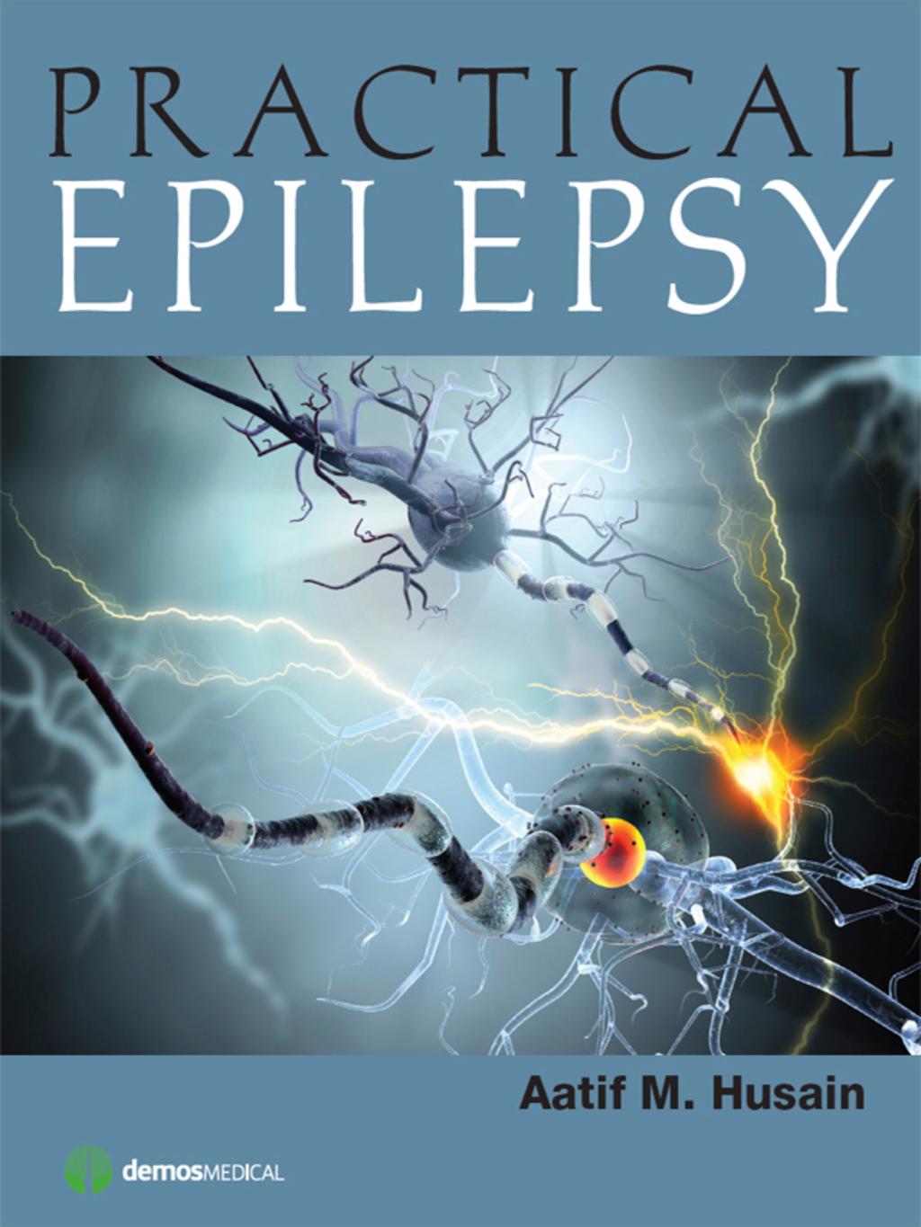 Practical Epilepsy 1st Edition â€“ PDF/EPUB Version Downloadable