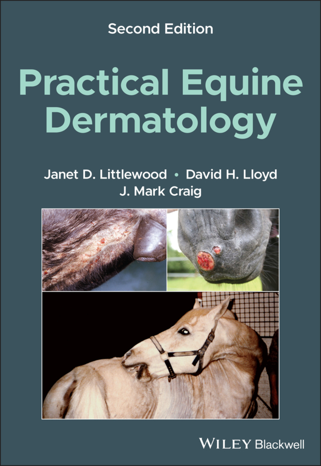 Practical Equine Dermatology 2nd Edition â€“ PDF/EPUB Version Downloadable