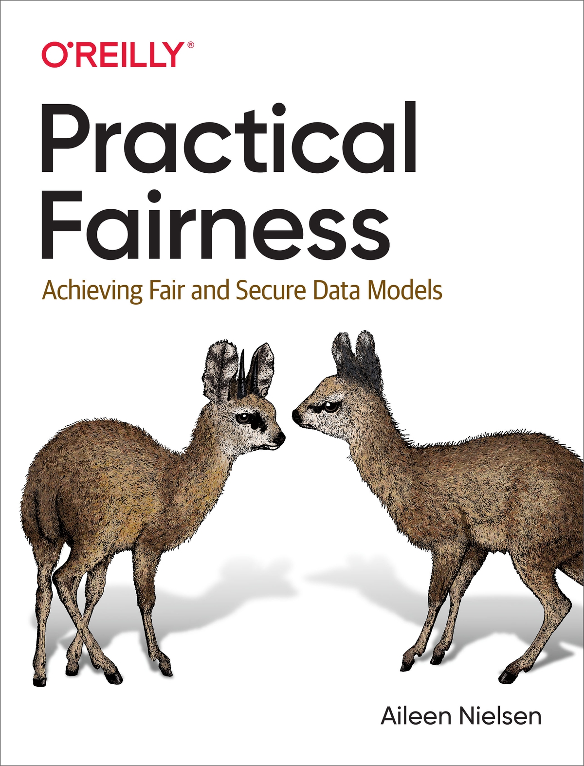 Practical Fairness 1st Edition â€“ PDF/EPUB Version Downloadable
