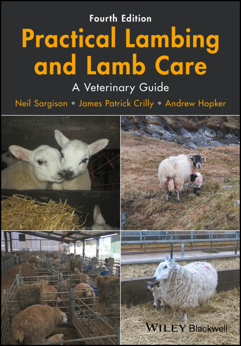 Practical Lambing and Lamb Care: A Veterinary Guide A Veterinary Guide 4th Edition â€“ PDF/EPUB Version Downloadable