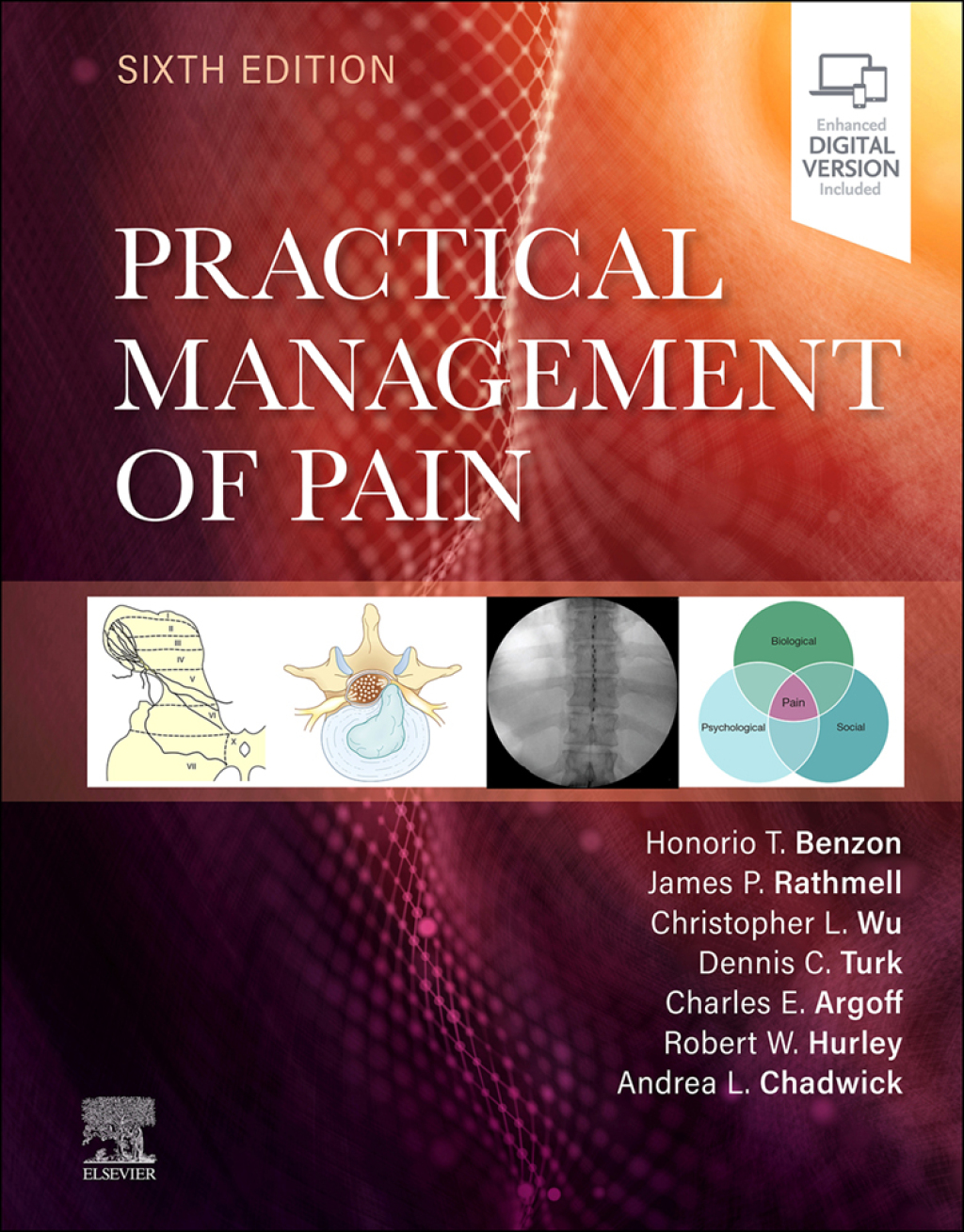 Practical Management of Pain E-Book 6th Edition â€“ PDF/EPUB Version Downloadable
