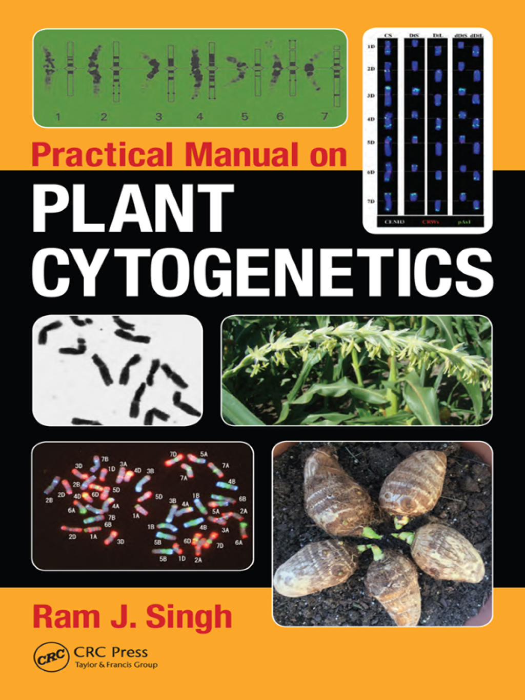 Practical Manual on Plant Cytogenetics 1st Edition â€“ PDF/EPUB Version Downloadable