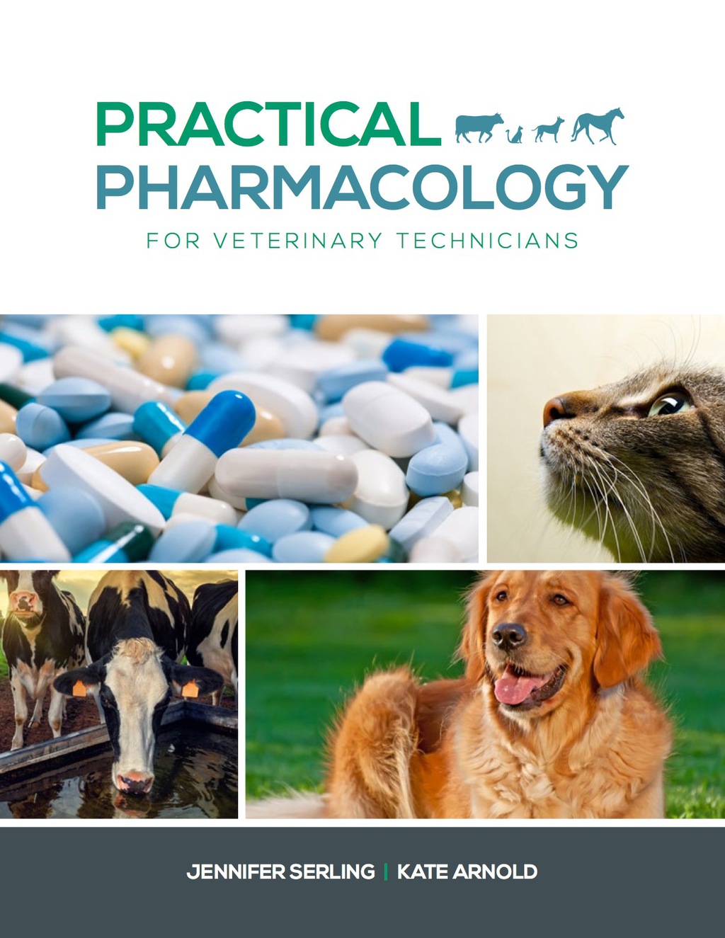 Practical Pharmacology for Veterinary Technicians 1st Edition â€“ PDF/EPUB Version Downloadable