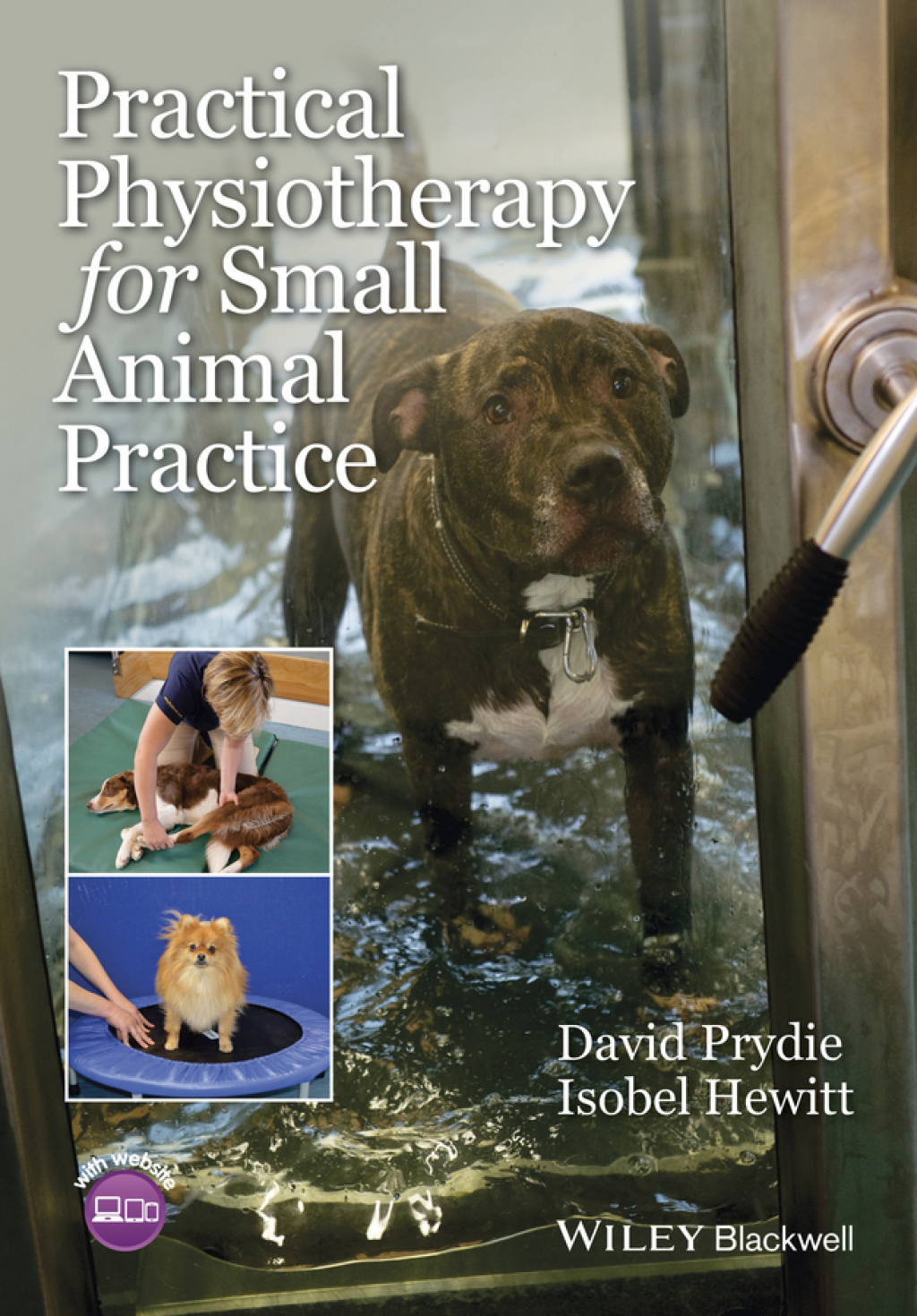 Practical Physiotherapy for Small Animal Practice 1st Edition â€“ PDF/EPUB Version Downloadable
