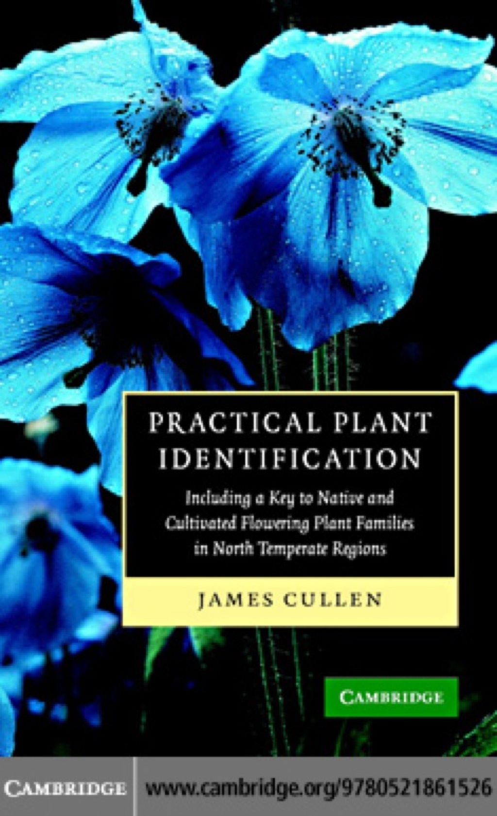 Practical Plant Identification Including a Key to Native and Cultivated Flowering Plants in North Temperate Regions 1st Edition â€“ PDF/EPUB Version Downloadable