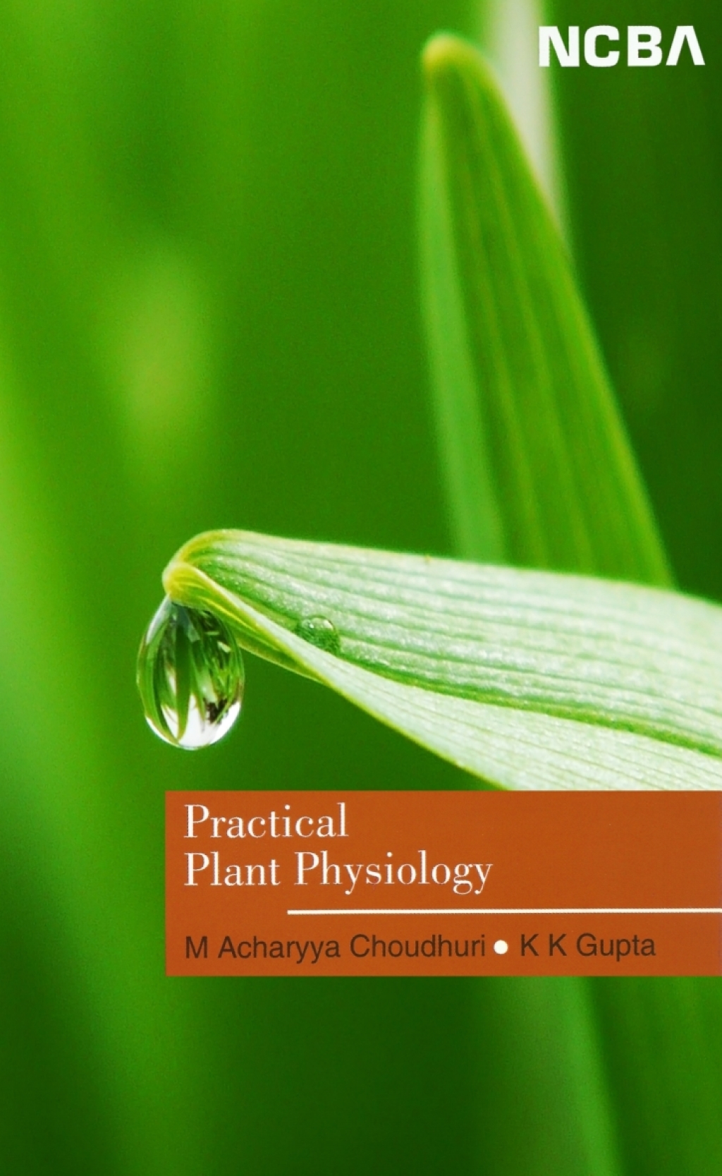 Practical Plant Physiology  â€“ PDF/EPUB Version Downloadable