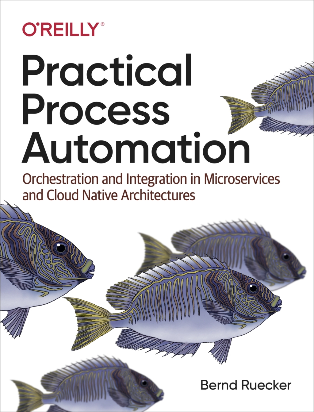 Practical Process Automation 1st Edition â€“ PDF/EPUB Version Downloadable