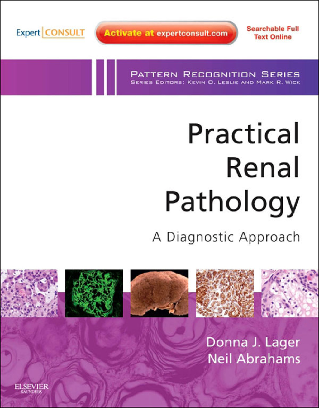 Practical Renal Pathology, A Diagnostic Approach - Electronic 1st Edition â€“ PDF/EPUB Version Downloadable