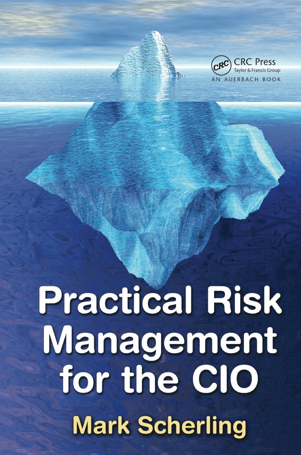 Practical Risk Management for the CIO 1st Edition â€“ PDF/EPUB Version Downloadable