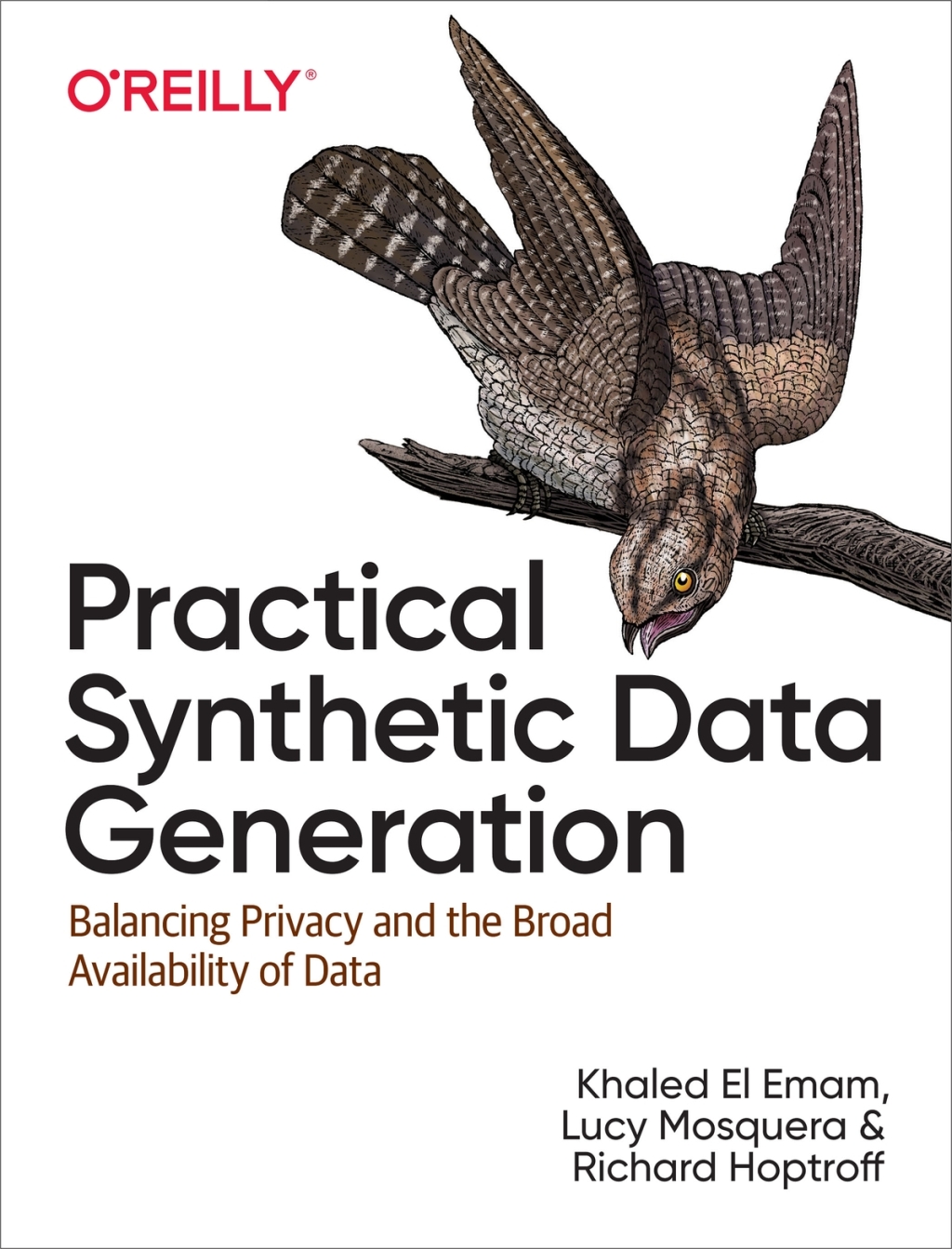 Practical Synthetic Data Generation Balancing Privacy and the Broad Availability of Data 1st Edition â€“ PDF/EPUB Version Downloadable