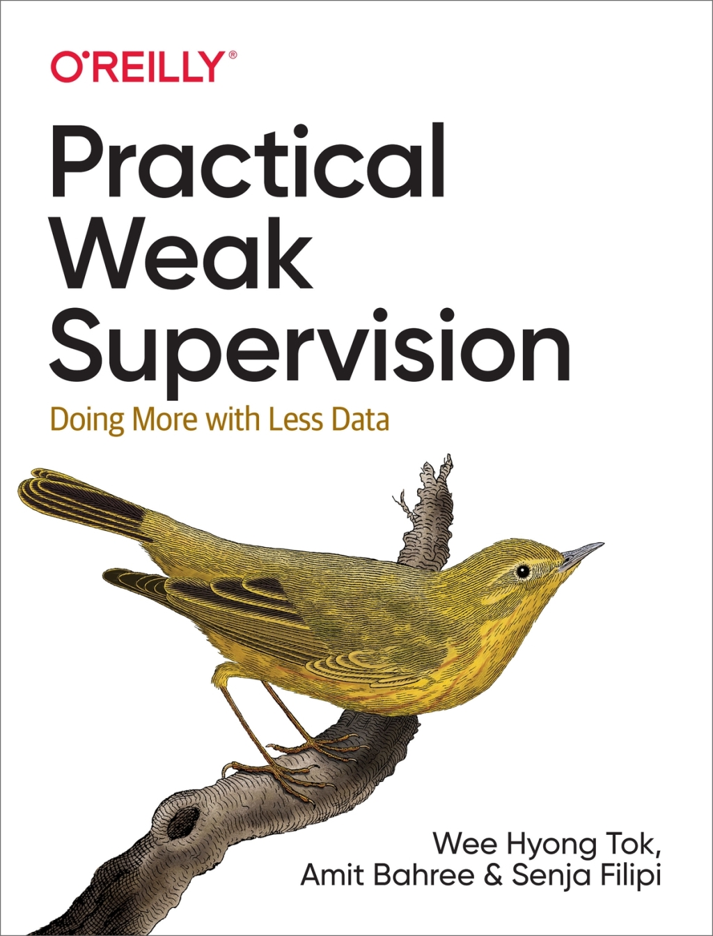 Practical Weak Supervision Doing More with Less Data 1st Edition â€“ PDF/EPUB Version Downloadable